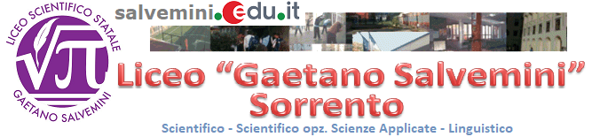 LOGO DEL LICEO SALVEMINI